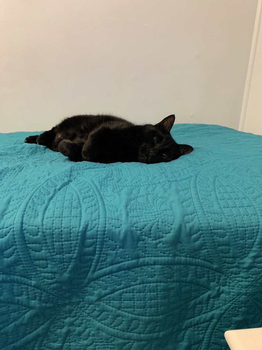 Sheryl Rose tweet media