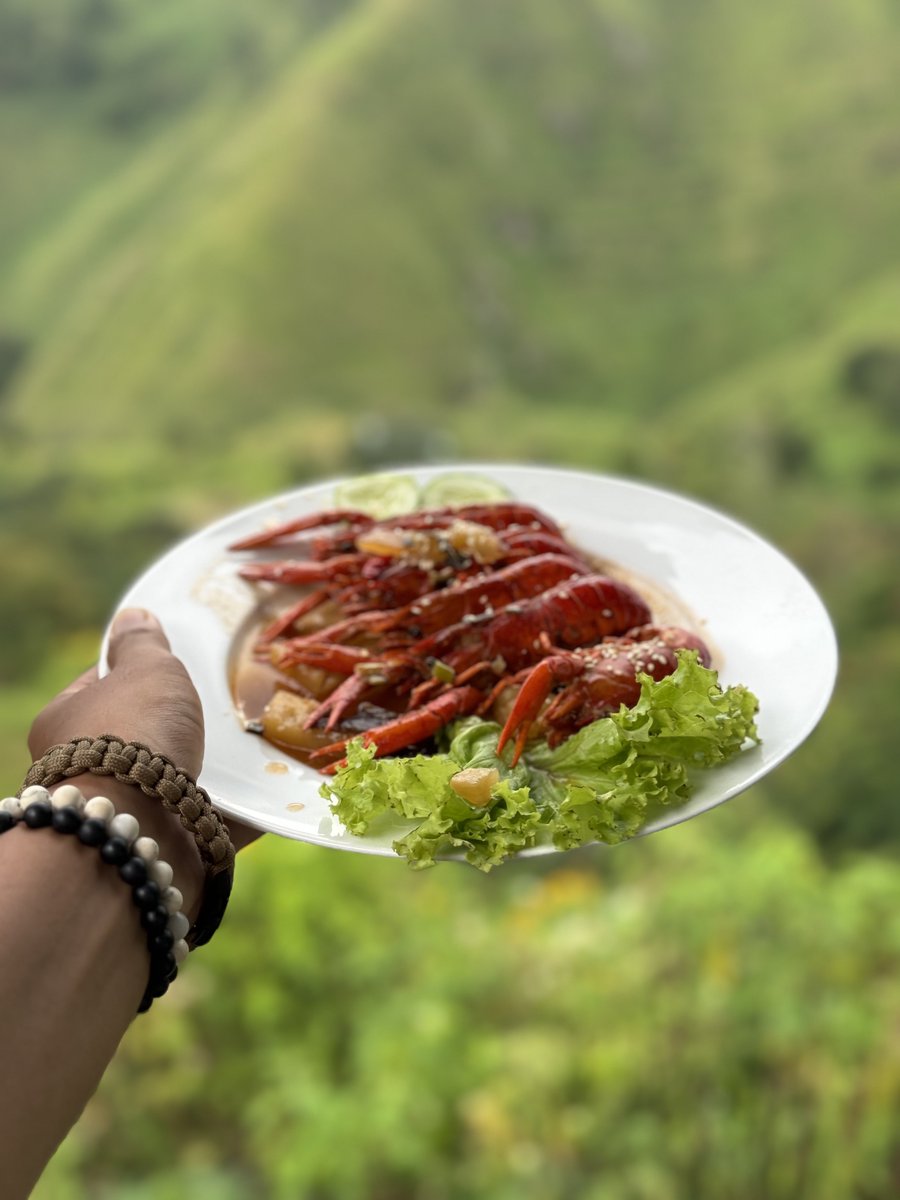 aazmeeriskndr's tweet photo. Day 2

Terkejut aku bila tour guide cakap kita lunch nanti makan lobster air tawar.

Lobster dengan ikan bakar yang kedai ni hidang, semua hasil dari tasik Danau Toba. SEDAP! Lobster dia masak sweet sour.

Tapi view kedai ni mahal sebab nampak air terjun. https://t.co/VZejdldBgT