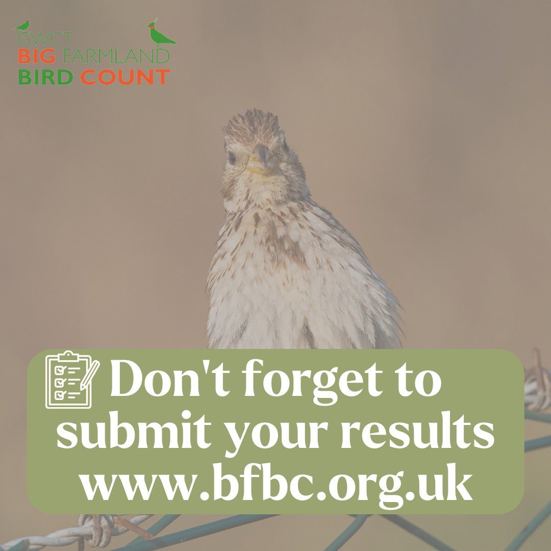 Calling all farmers, rangers, gamekeepers, and forest keepers passionate about wildlife conservation! 🌿 There's still time to submit your results for 2024 until February 18th. 📅 Help monitor and protect bird species on your land!🌳 Find out more: bfbc.org.uk