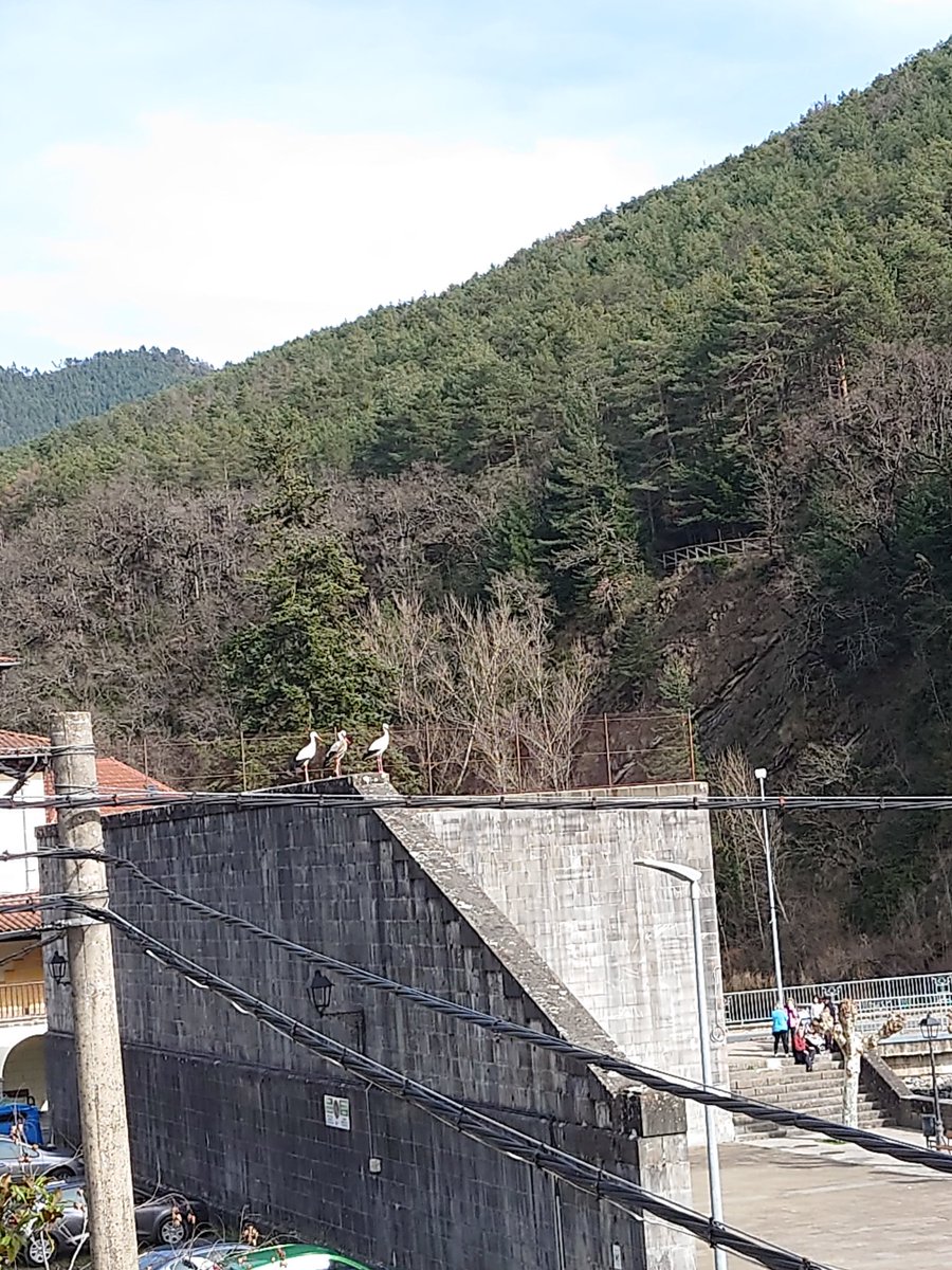 Zikoinak Erronkarin. 😯