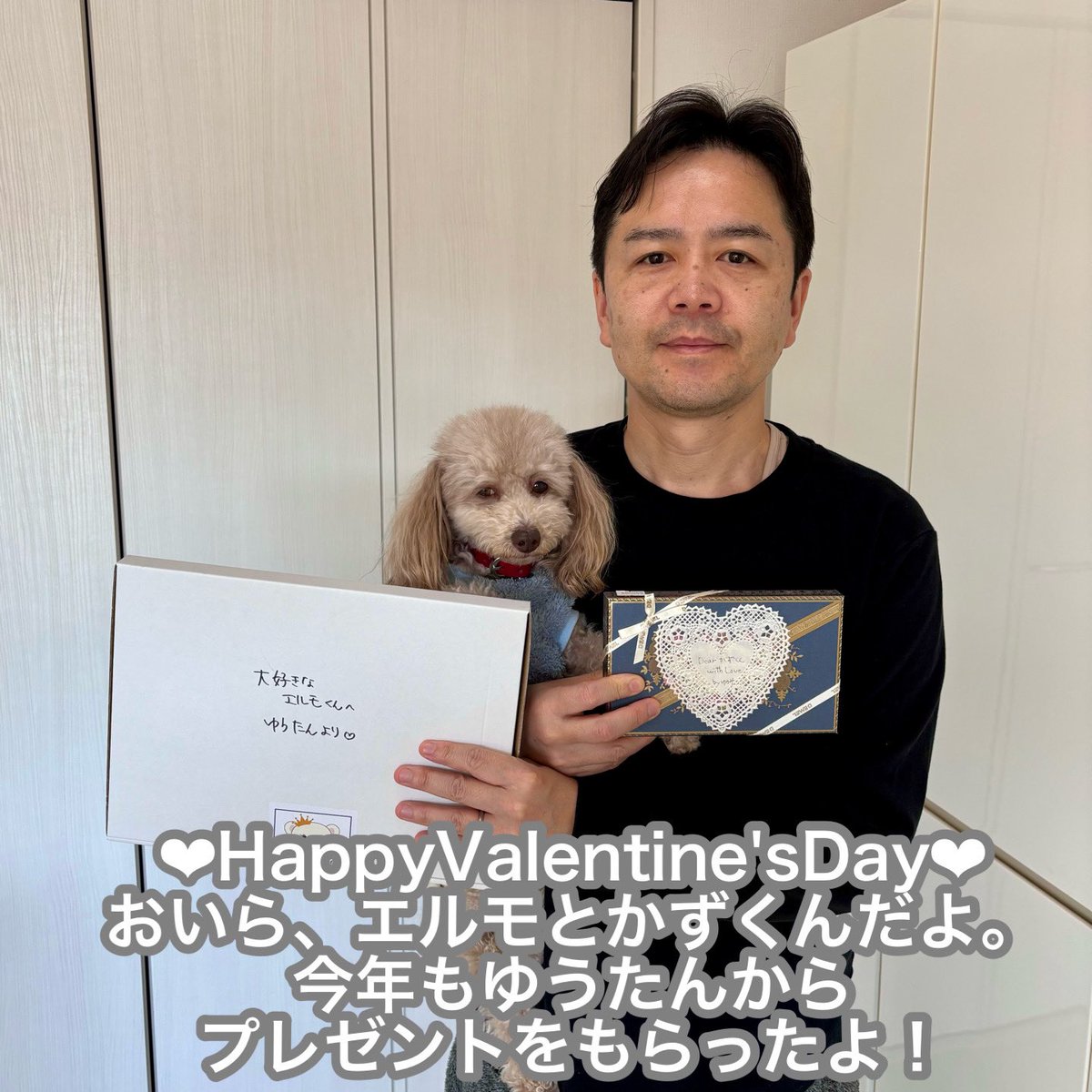 yuumi_sa's tweet photo. その①
#バレンタイン 
#バレンタインデー 
#valentine 
#happyvalentinesday 
#デメル
#demel
#earfunair2
#パンダスヌード
#おうち時間
#おうち大好き
#トイプードル 
#トイプードル男の子 
#トイプードルブラウン 
#犬のいる暮らし https://t.co/uvpai3hUvt