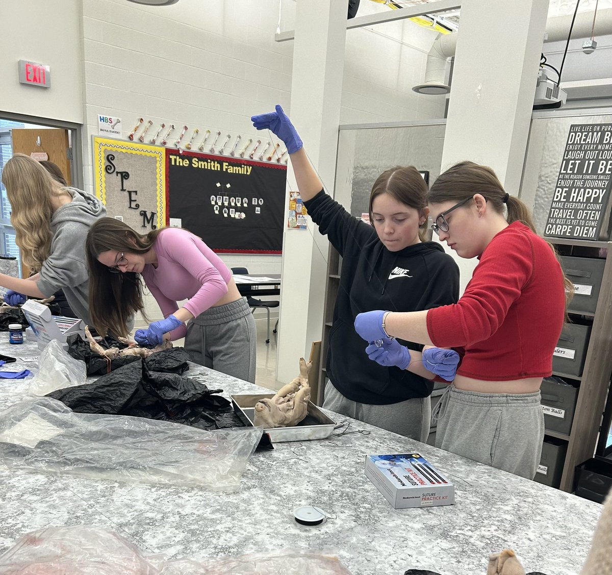 Future surgeons?
Suture day! <a href="/OFHSLeoSpagnola/">Leo Spagnola</a> <a href="/polariscareer/">Polaris Career Center</a>