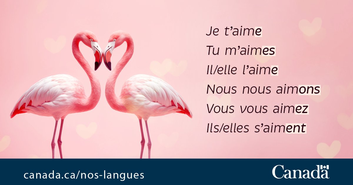 Nos_langues's tweet photo. Tout le monde aime recevoir des #motsdoux... on les apprécie encore plus s'ils sont écrits sans faute! Le #verbe «aimer» vous guidera pour conjuguer les autres verbes en -er comme inviter, dorloter, etc. #SaintValentin #ConjugArt https://t.co/Rbx0gJR7YC https://t.co/o0ySmunbxn