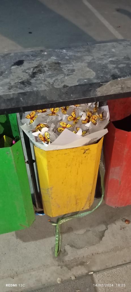 Kimdadir 14-fevral omadli boʻlmadi, chamamda:)