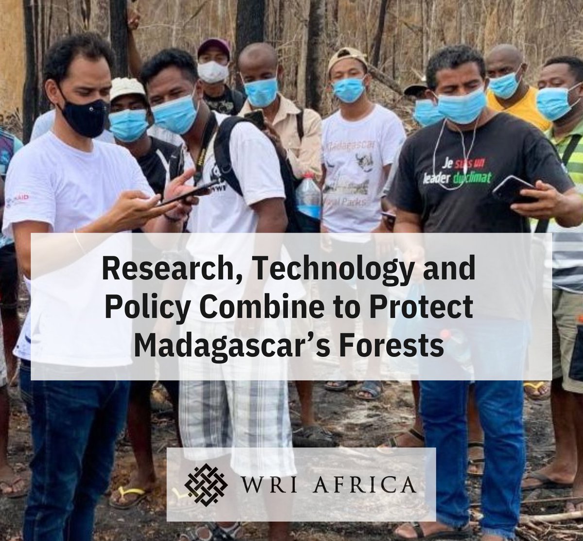 WRI Africa tweet media