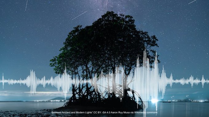 The Global Ocean Artificial Light at Night Network tweet media