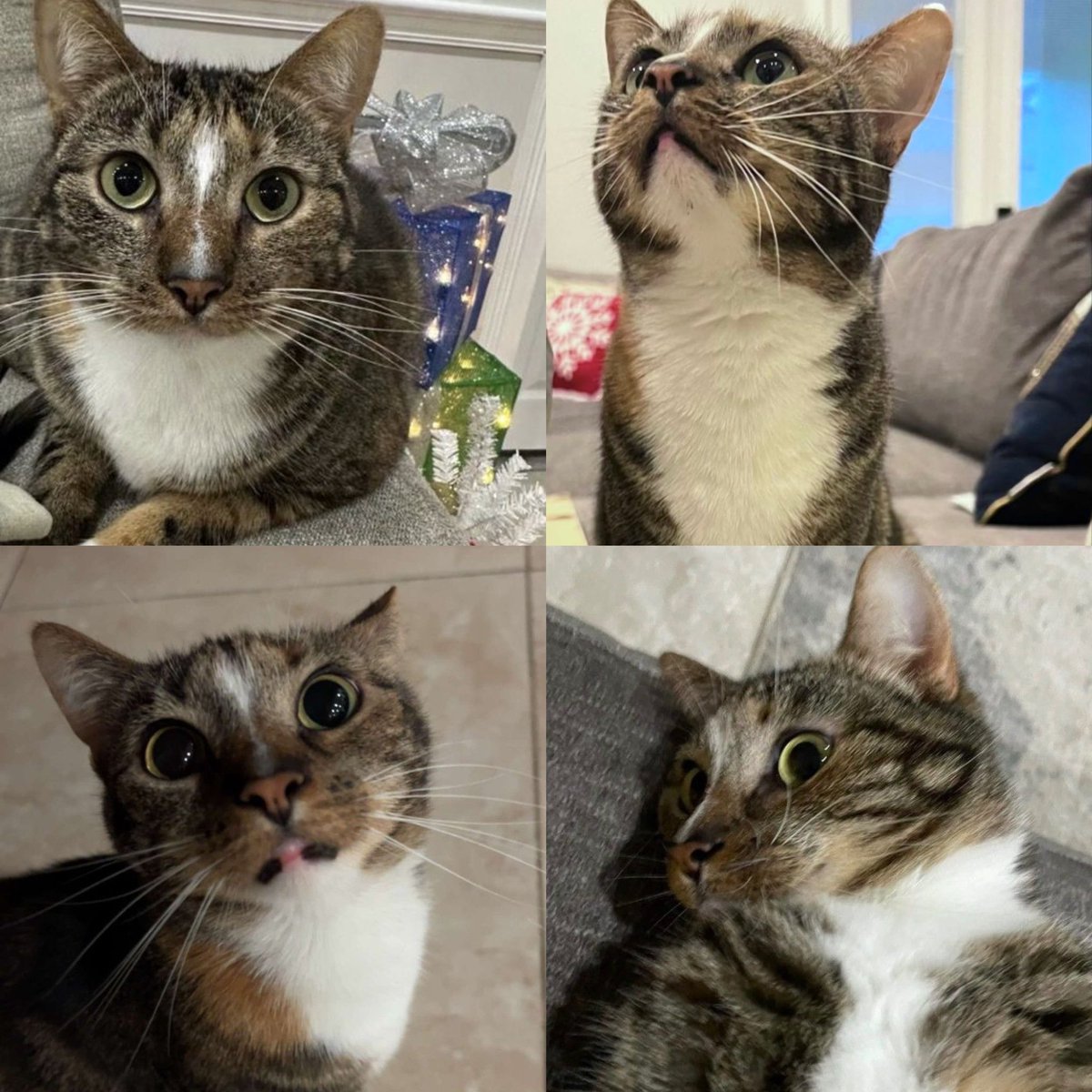 HAPPY BIRTHDAY TO OUR QUEEN PATCHES!! 🎉🎉🌟