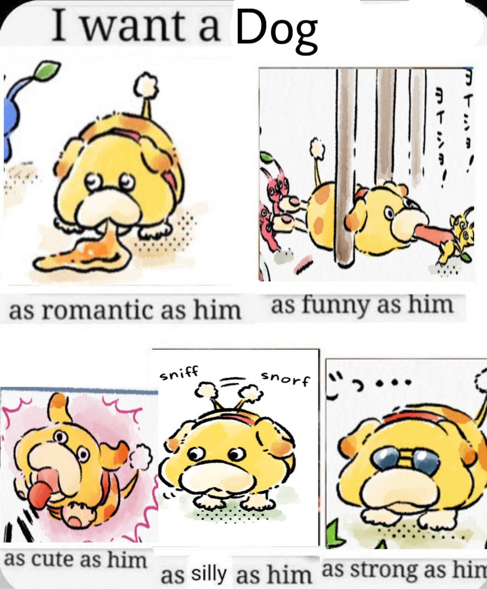 Ivaan 🍉 tweet media