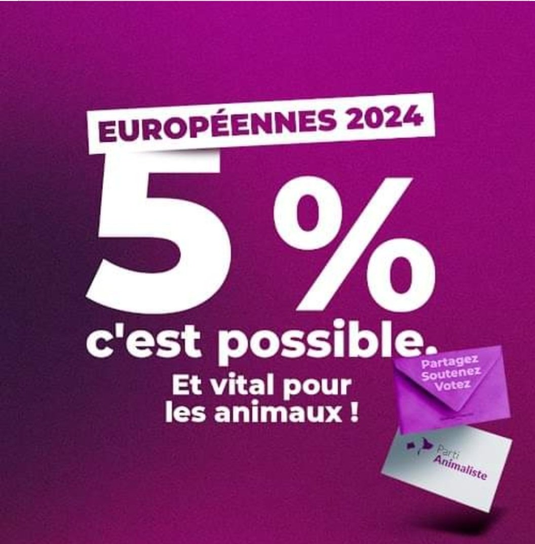Votez <a href="/PartiAnimaliste/">Parti animaliste</a> 💜
🐈‍⬛🐓🦅🐢🐀🐦🐕🦍🐅🐎🦜🐋🐠
Le 9 juin, c'est les élections européennes!  Le Parti animaliste porte une liste 100% indépendante  &amp; 100% animaliste! Quoi de mieux pour les animaux? 
On compte sur vous! 
➡️ Donner! Partager! Voter!   #Europeennes2024