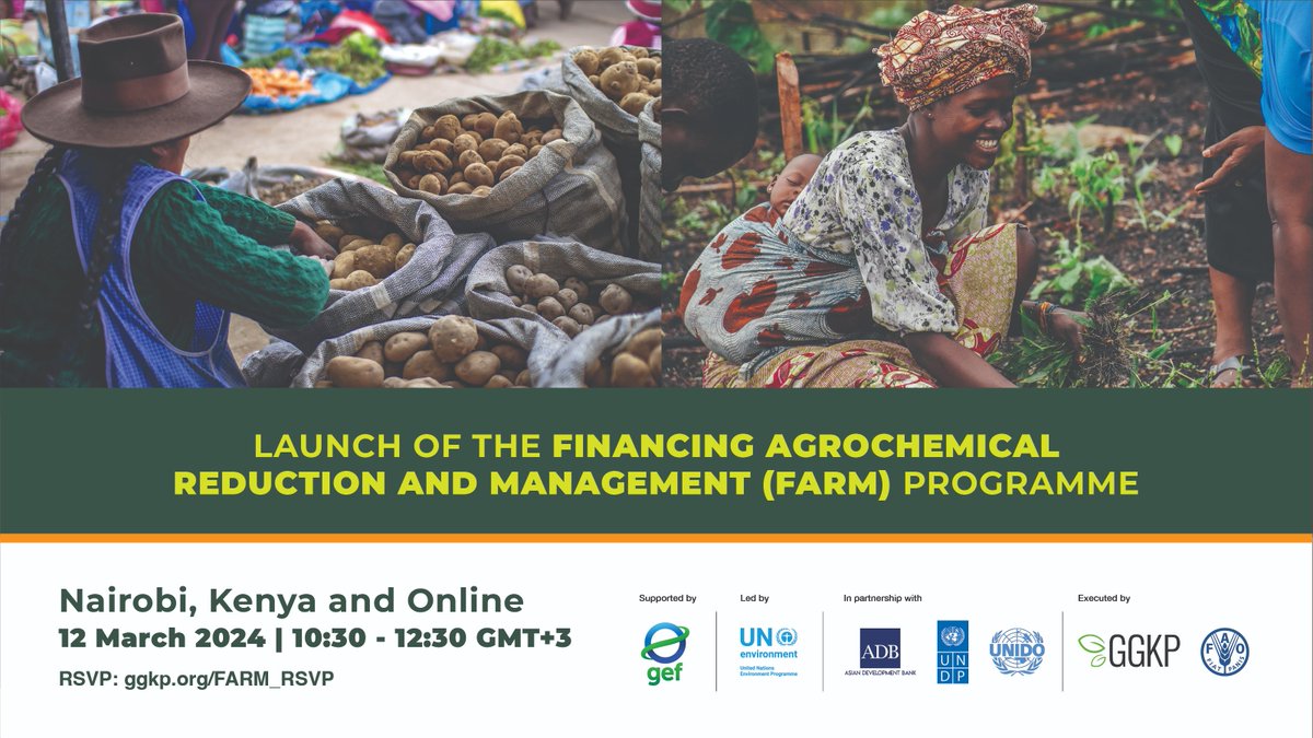 Every year the agriculture sector: 🌱 Applies 4+ million tonnes of pesticides ⚠️ Uses 12.5 million tonnes of plastics 🌡️ Generates about 1/3 of global GHG emissions #GEFFARM aims to reduce these harmful impacts. Learn more at its global launch. 12 March➡️ggkp.org/FARMGlobalLaun…