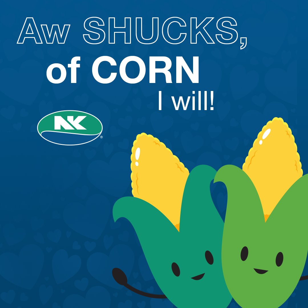 NK Seeds tweet media