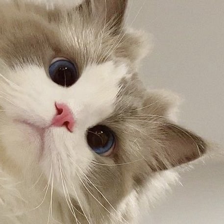 َ (@wonuversee) on Twitter photo 