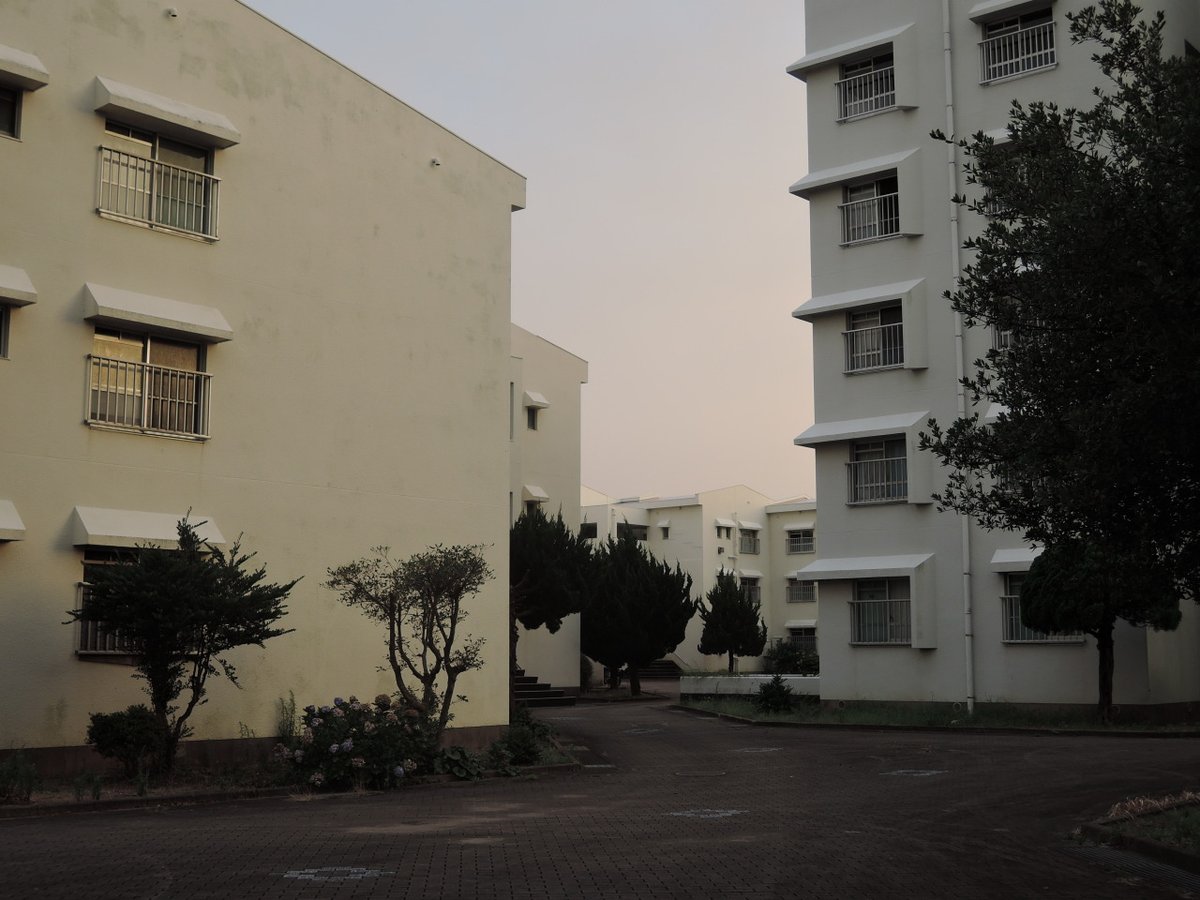 Archillect (@archillect) on Twitter photo 