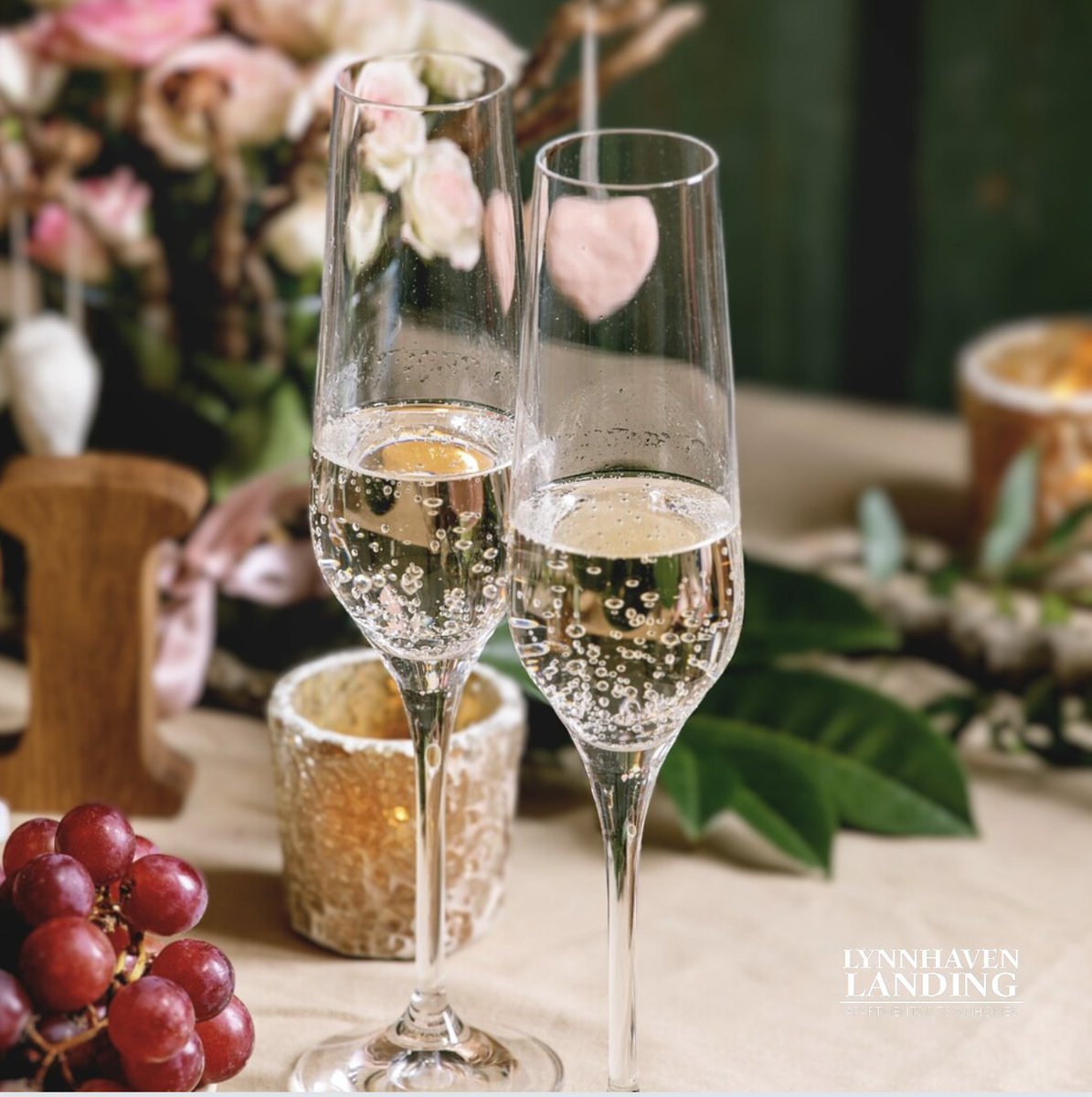 Lynnhaven Landing tweet media