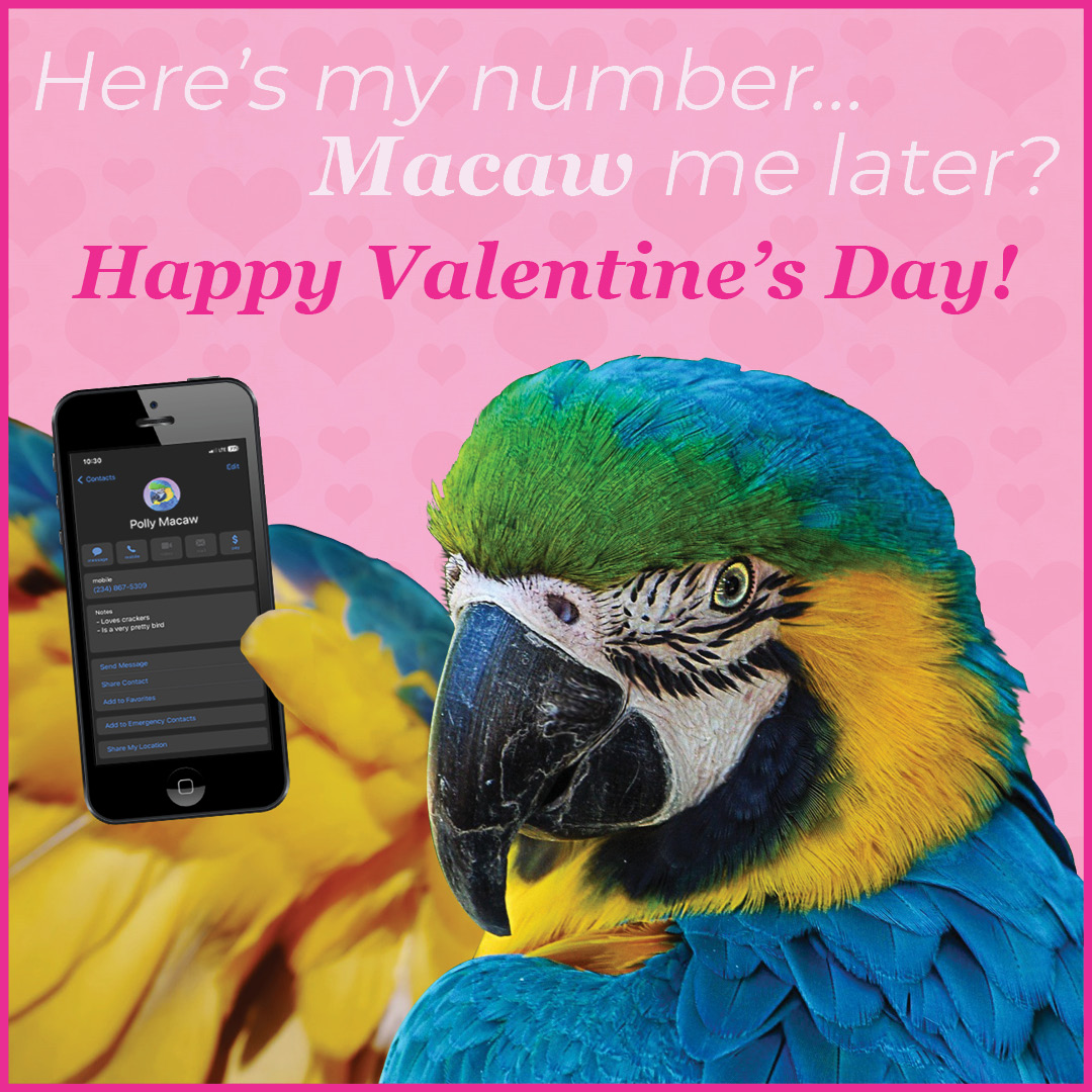 F.M. Brown's Sons, Inc. tweet media