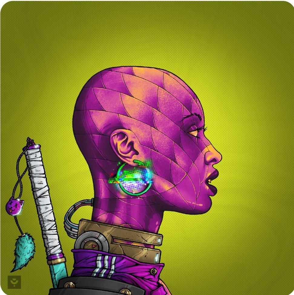 Natty Flatty tweet media