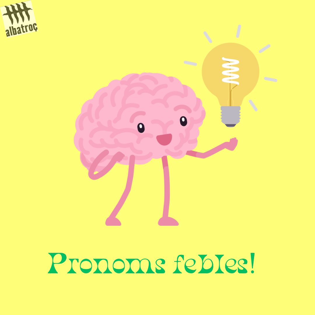 Curso de catalán tweet media