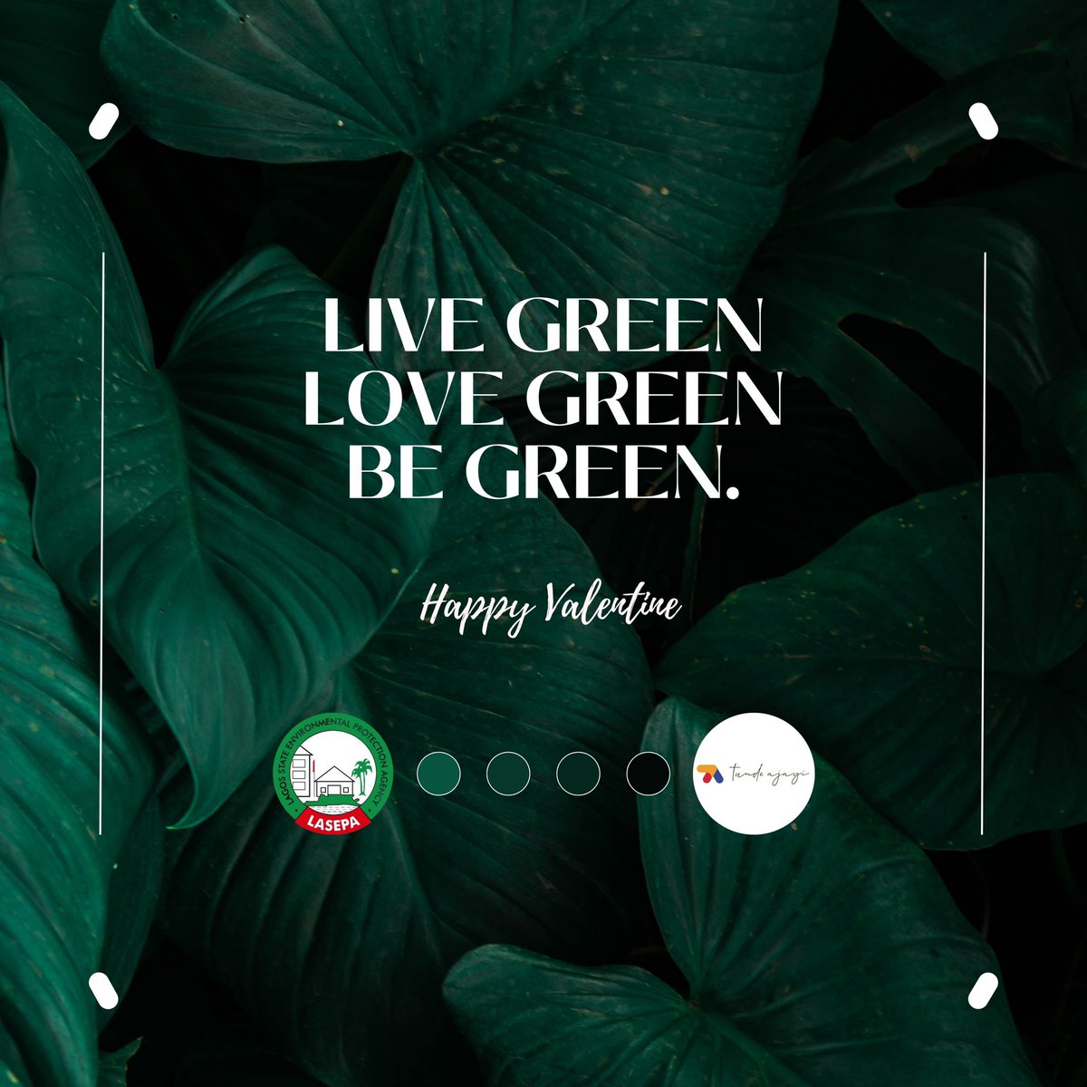 thetundeajayi's tweet photo. Spread the eco-love today by protecting our city's air, water and land.
Happy Valentine’s Day! #GreenValentine. https://t.co/CsqPqg5EIS