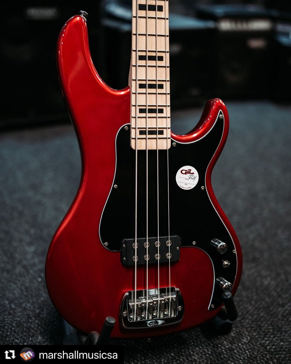 GandLGuitars's tweet photo. Some of the latest G&L Tribute Series at Marshall Music in South Africa 🇿🇦 @MarshallMusicSA
#ASAT #ASATclassic #ASATclassicsemihollow #ASATclassicbluesboy #ASATdeluxe #KilotonBass #Kiloton #glguitars #MarshallMusicSA #semihollow https://t.co/VF1WK61X7s