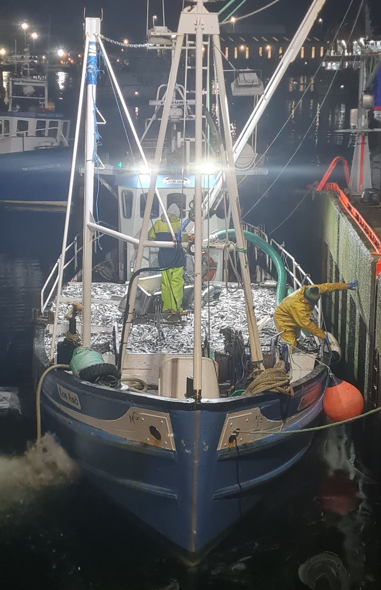 Killybegs: hub for pelagic vessels, now bustling with seasonal herring fishery. Donal Hurley shares Ros Ard's landing pic. Meanwhile, Irish minister Charlie McConalogue unveils €48m harbour extension in Castletownbere, with more funding for Irish ports announced.