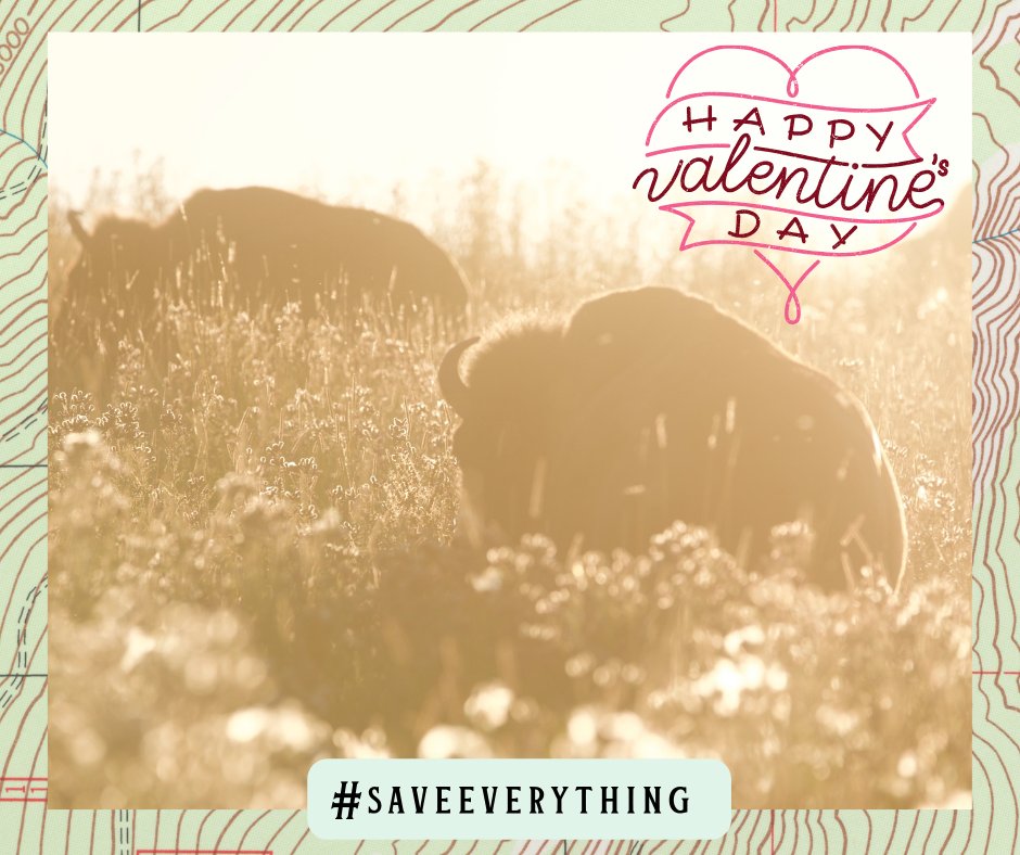 Planet Earth - my first love! The species whom we share this world with - and the natural systems that make life on earth possible - are sacred. With our collective action – they can be protected and restored for future generations. #saveeverything Photo: Holly Pippel