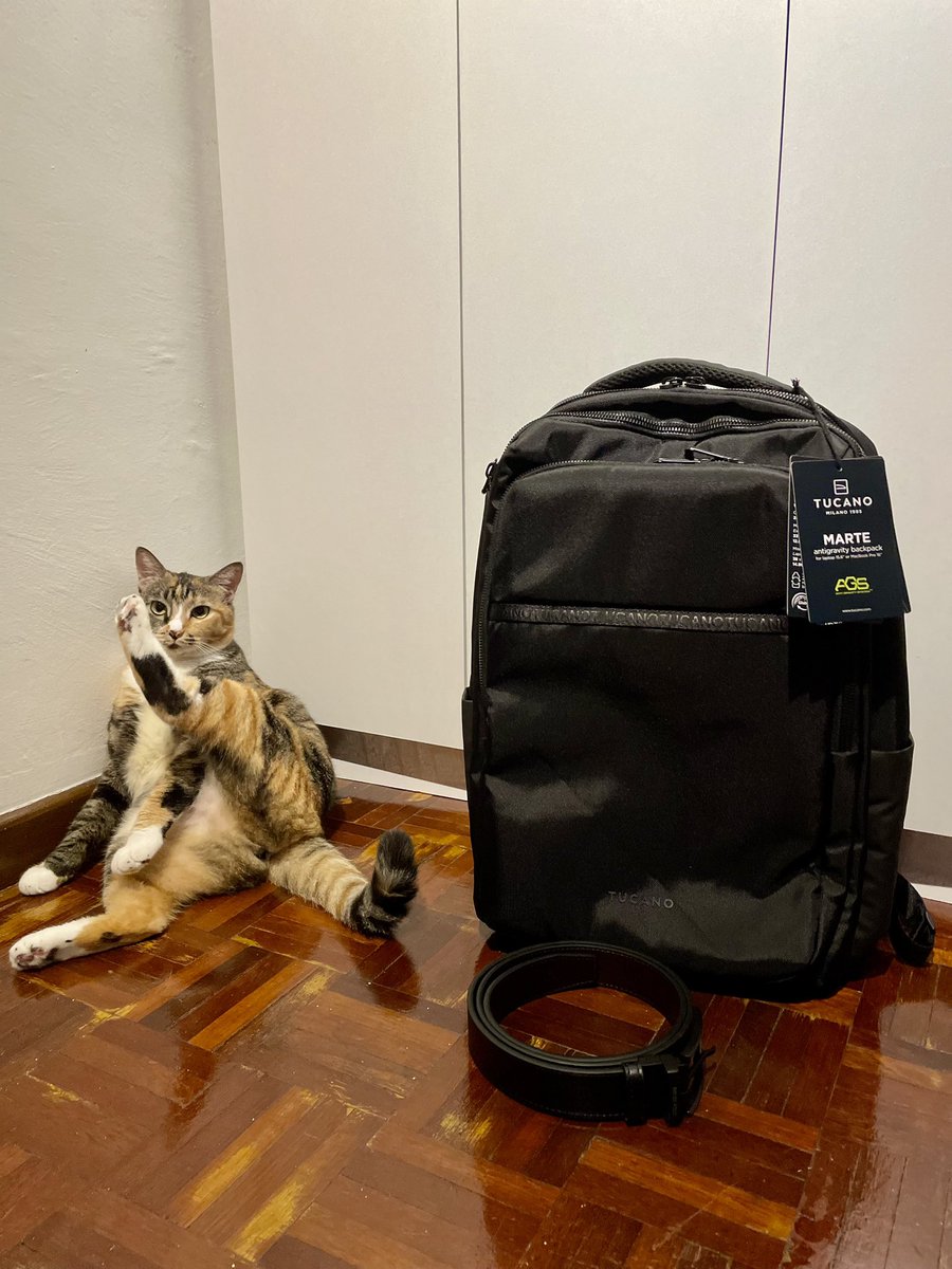 Been eyeing for an anti gravity bag for months and <a href="/jperderder/">joeann.eth</a> got it for Valentine’s 🥹 💙

p.s. Pebbles wants to be part of the gifts as well.