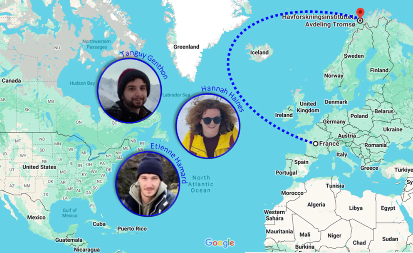 Three Master students at IMR Tromsø contribute to MISSION ATLANTIC's work on tipping points and risk assessment. Their studies focus on ecosystem stressors' impact on fish biomass and evaluate methods for detecting ecological regime shifts. 🔗Read more: rb.gy/9rbxw0