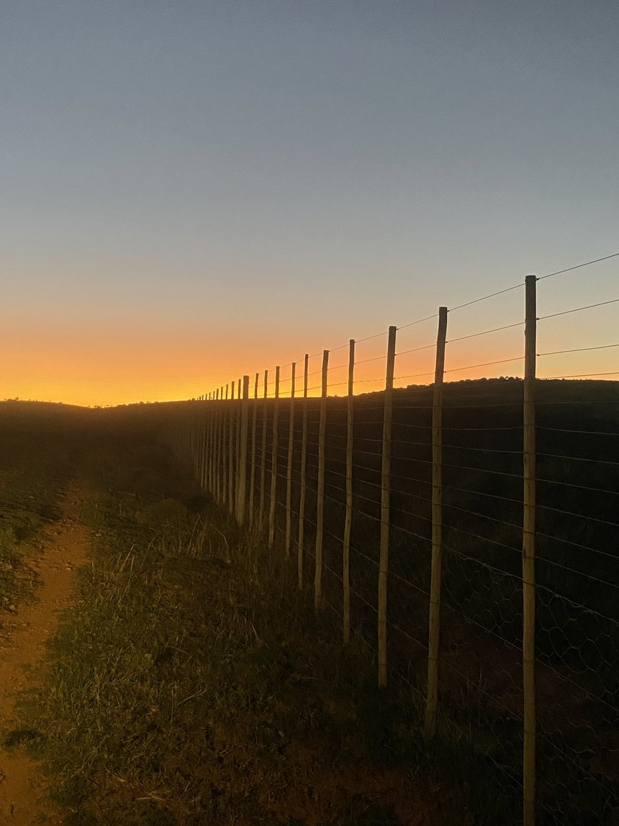 I was born in Africa. So was my father, and his father, and his father, and his father….since 1670.

I am a white farmer. Do I have the right to own farmland and call myself a South African or not?