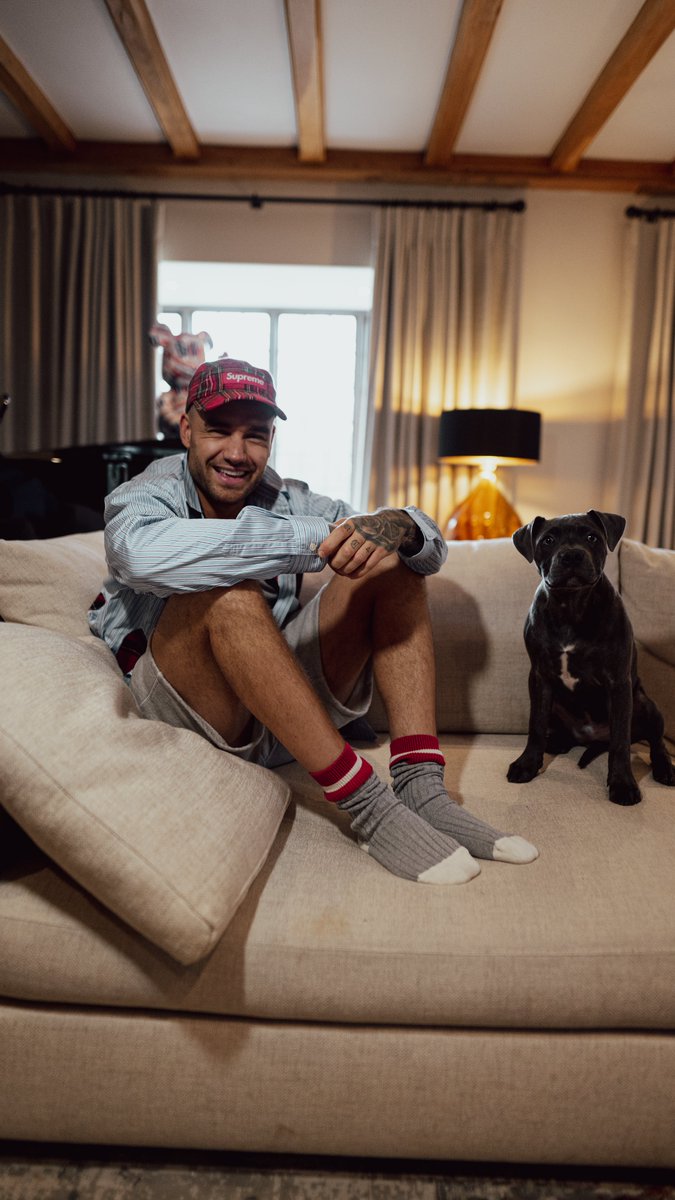 LiamPayne's tweet image. Welcome to the family, Stanley! Our hearts are bigger with you in it 🐾🤍