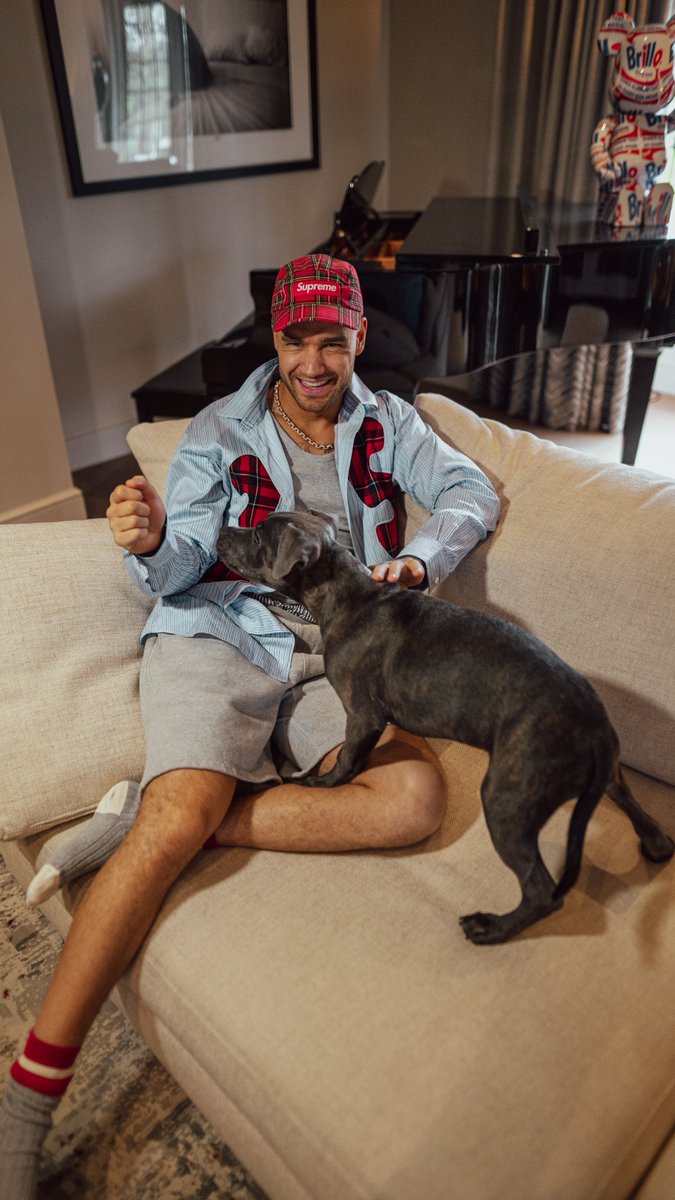 LiamPayne's tweet image. Welcome to the family, Stanley! Our hearts are bigger with you in it 🐾🤍