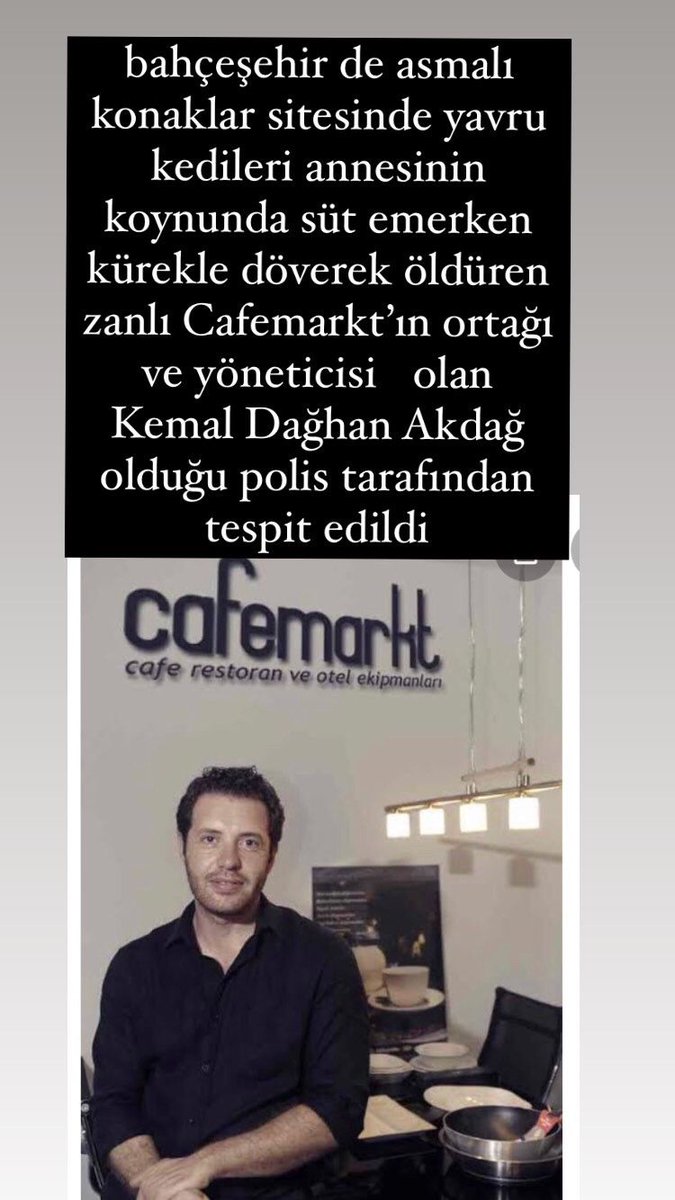 karabatak4's tweet photo. Cafemarkt boykot edilsin! Buradan insanlar alışveriş etmemeli! Bu şirketin sahibi bir günlük yavru kedileri kürekle parçalayan bir cani. Bu sosyopat yaratık nasılhala aramızda dolaşıp ticaret yapabiliyor? #kedikatili https://t.co/DVYYtZUc9n