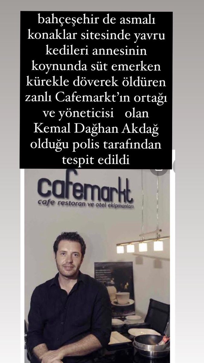 Cafemarkt boykot edilsin! Buradan insanlar alışveriş etmemeli! Bu şirketin sahibi bir günlük yavru kedileri kürekle parçalayan bir cani. Bu sosyopat yaratık nasılhala aramızda dolaşıp ticaret yapabiliyor? #kedikatili