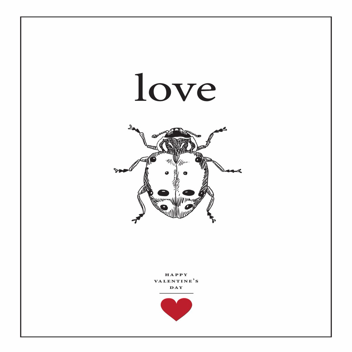 SHSPestControl's tweet image. Happy Valentine's Day from all of us at SHS Pest Control!😘💚💫