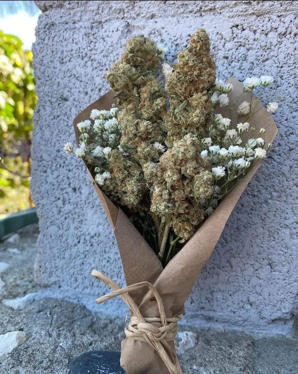 Las flores que quiero para hoy 😍