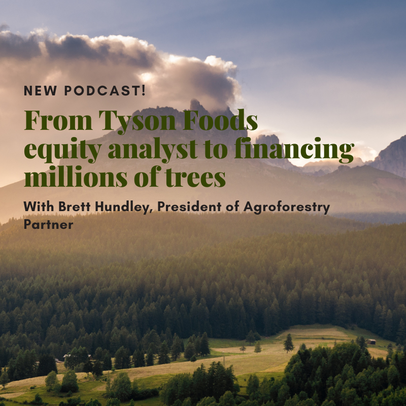 Brett Hundley of Agroforestry Partners shares why '#trees are the answer (whatever the question is)' for both #farmers and #investors in the regenerative agriculture movement as well as their focus on #chestnut trees and the unique approach to noisy #farms investinginregenerativeagriculture.com/2024/02/13/bre…