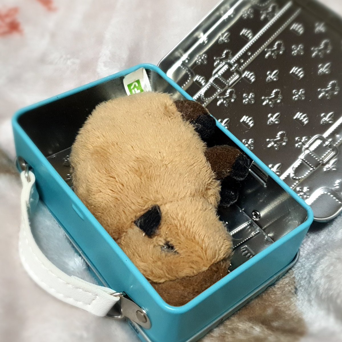 トバリジュウロー tweet media