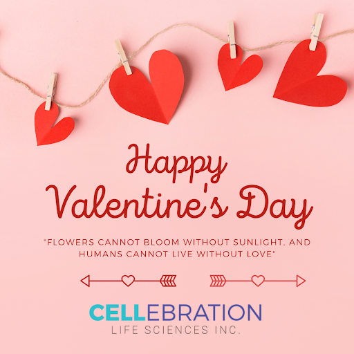 cellebrationsci's tweet photo. Happy Valentine’s Day from the team at Cellebration Life Sciences! May your day be filled with love and joy.

#Love #Valentines https://t.co/JWCJJutGyD