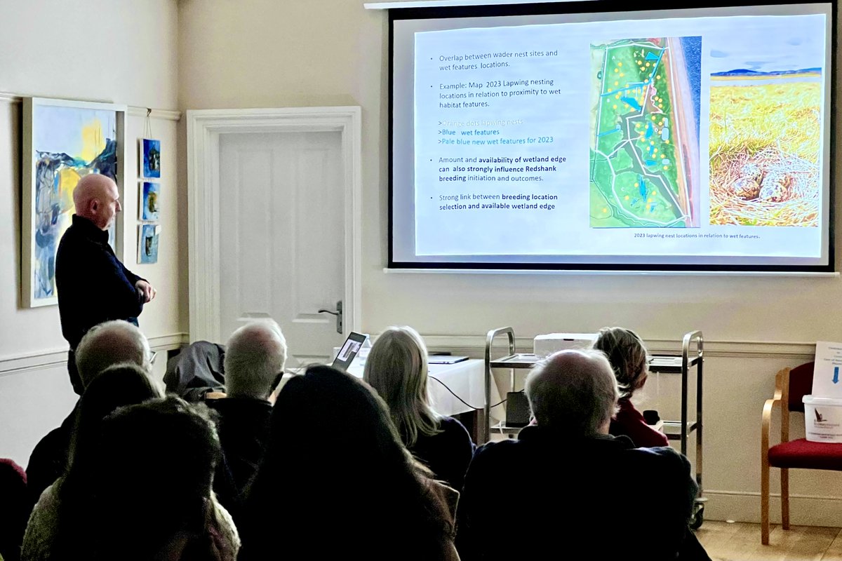 Jason Monaghan, @NPWSIreland, delivered a masterclass in breeding wader management to @WicklowBranch of @BirdWatchIE last night. He detailed the success achieved in fledging Lapwings, Redshanks, Shoveler and other waders at Cooldross (known to birders as Webb’s Field, Kilcoole).