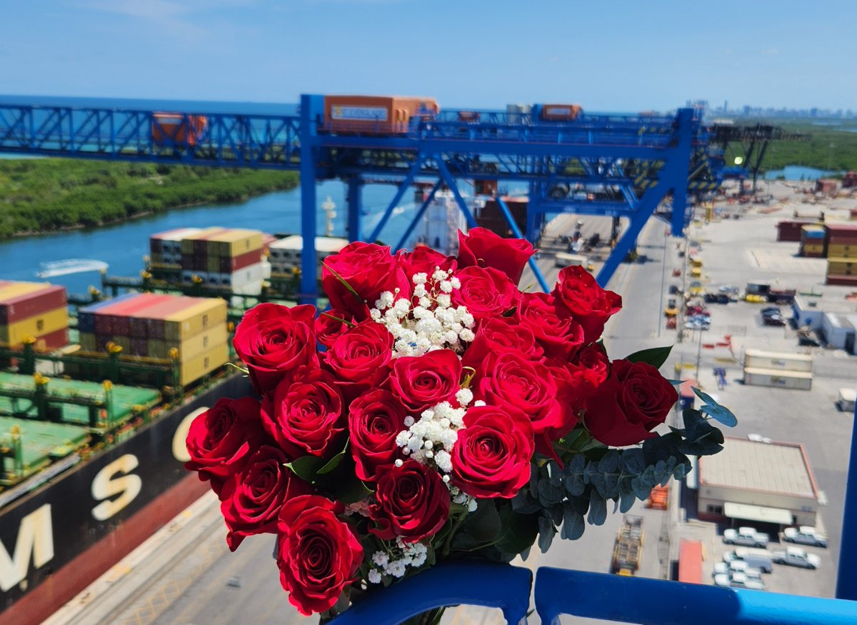 From budding romances to long-time loves, we’re big spenders. About $83 million worth of flowers and candies went through Port Everglades in Fiscal Year 2023. #ValentinesDay #porteverglades #cargo #gateway #browardcounty