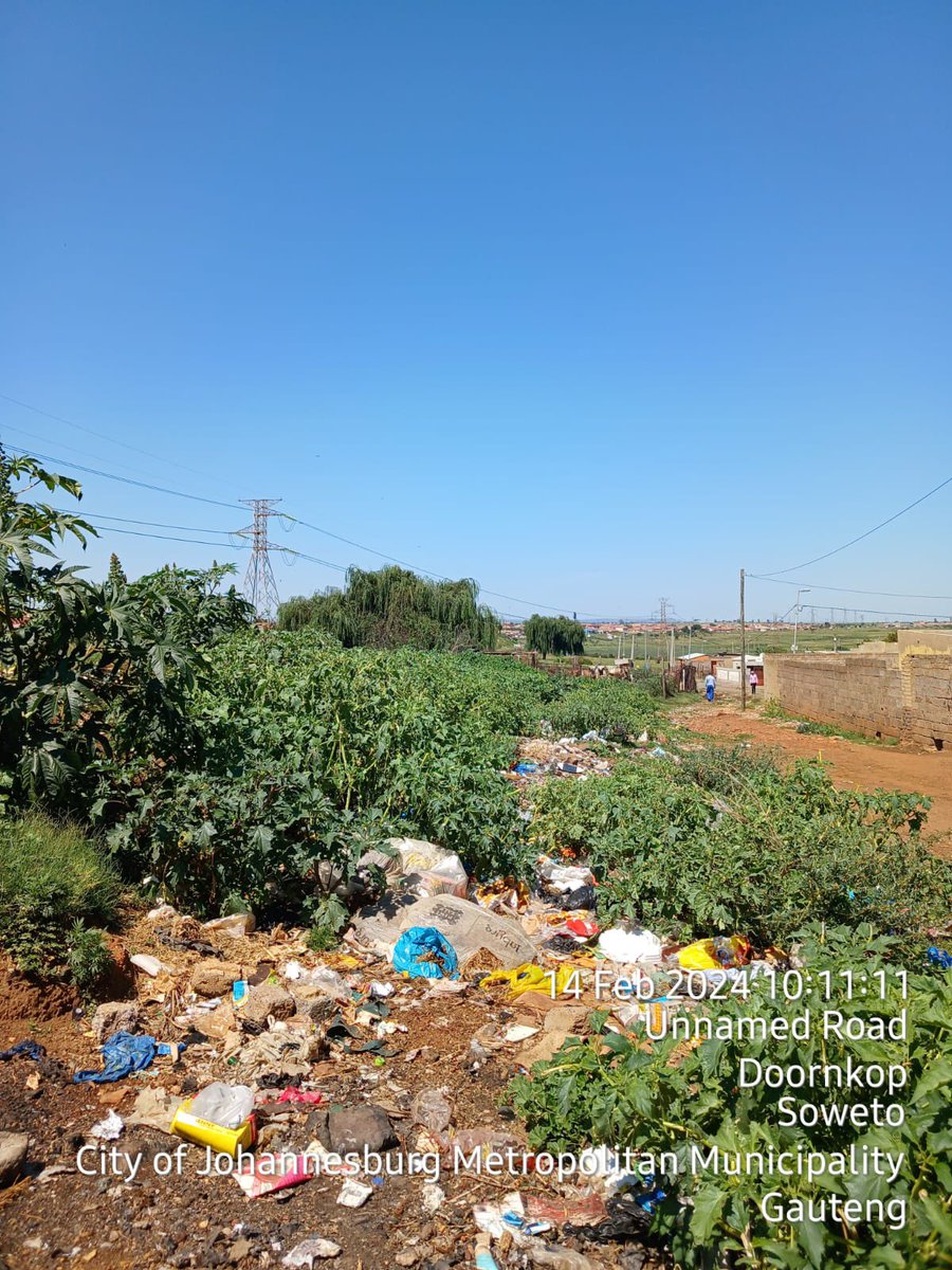 Pikitup tweet media