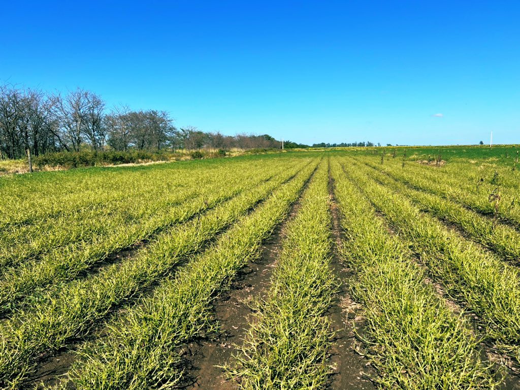 PatriPorrato's tweet image. - Isoca militar: ‘trae la birra que ya me comí el maní’ 

😳 3 días me fui hdp