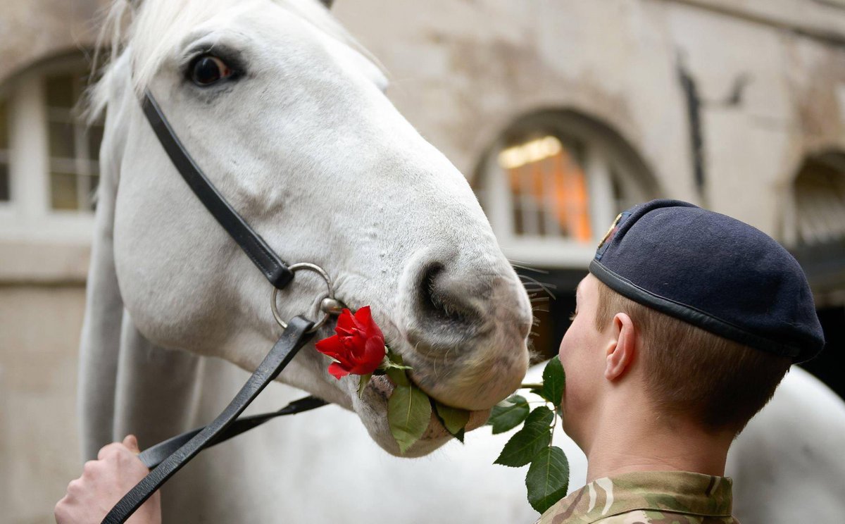 The Army in London tweet media