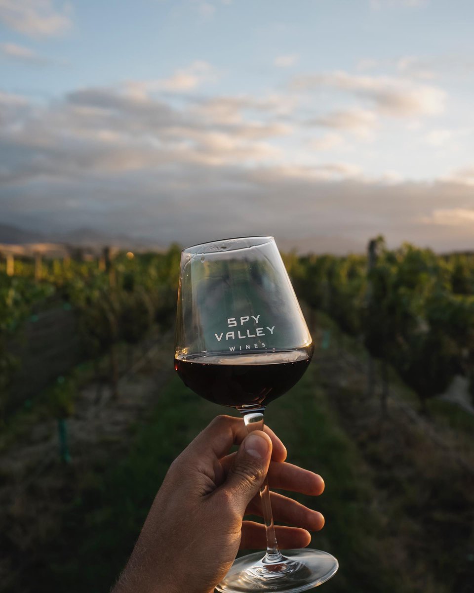 WineAdmire's tweet photo. 𝐒𝐩𝐲 𝐕𝐚𝐥𝐥𝐞𝐲 𝐖𝐢𝐧𝐞𝐬 | 𝐕𝐢𝐧 𝐝𝐢𝐧 𝐍𝐨𝐮𝐚 𝐙𝐞𝐞𝐥𝐚𝐧𝐝𝐚 --- Comanda vinul preferat din Noua Zeelanda 🔛 𝐰𝐰𝐰.𝐰𝐢𝐧𝐞𝐚𝐝𝐦𝐢𝐫𝐞.𝐫𝐨 https://t.co/dvUaQQQ1p5