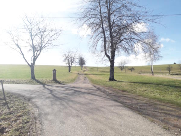 Deutschland ist auch das Land der Marienwunder. Hier der Weg von St. Peter über die Gerichtshöhe zum Erscheinungsort der Gnadenmutter vom Lindenberg. Auf dem dahinterliegenden Lindenberg erschien im 15. Jahrhundert die Heilige Jungfrau einem Hirtenjungen: „Alles möcht ich Dir…