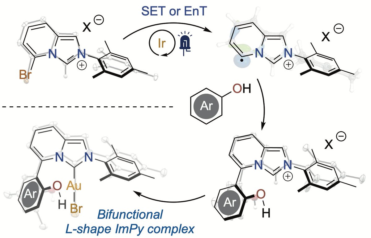 Olivier Baslé (@obasle) on Twitter photo Visible light photocatalysis applied to the synthesis of NHC ligands. Take a look at our <a href="/ChemistryEur/">ChemistryEur</a> OA article. Congratulations to all co-authors <a href="/MahidolChem/">Mahidol Chemistry</a> <a href="/LCC_CNRS/">Laboratoire de chimie de coordination</a> and thanks Agustí Lledós <a href="/UABBarcelona/">Universitat Autònoma de Barcelona</a> & @vinc_cesar for the nice collaboration. …mistry-europe.onlinelibrary.wiley.com/doi/10.1002/ce… Visible light photocatalysis applied to the synthesis of NHC ligands. Take a look at our <a href="/ChemistryEur/">ChemistryEur</a> OA article. Congratulations to all co-authors <a href="/MahidolChem/">Mahidol Chemistry</a> <a href="/LCC_CNRS/">Laboratoire de chimie de coordination</a> and thanks Agustí Lledós <a href="/UABBarcelona/">Universitat Autònoma de Barcelona</a> & @vinc_cesar for the nice collaboration. …mistry-europe.onlinelibrary.wiley.com/doi/10.1002/ce…