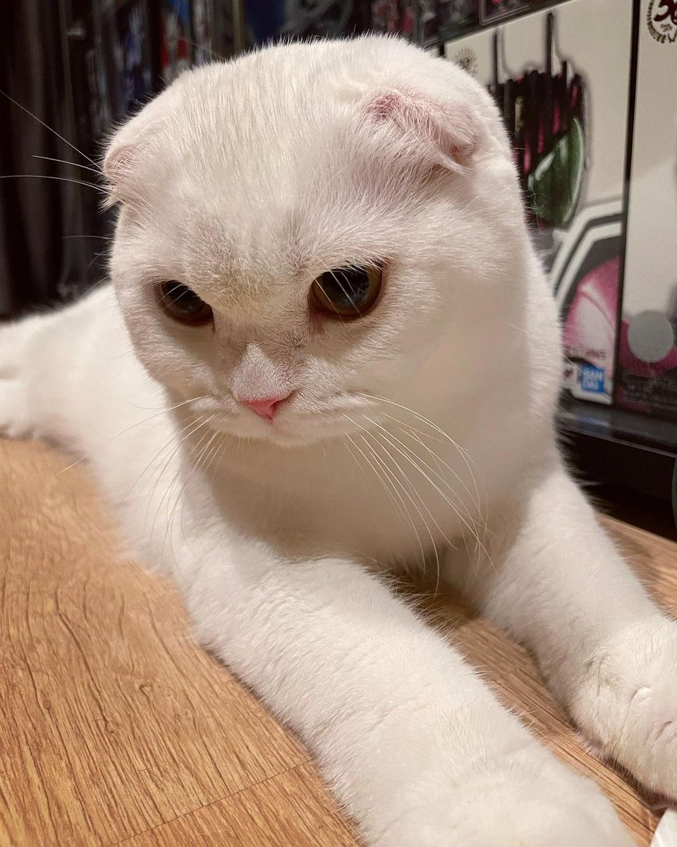 Minnagainu's tweet photo. ❤︎⑅⁺˖ 𝐇𝐚𝐩𝐩𝐲 𝐁𝐢𝐫𝐭𝐡𝐝𝐚𝐲 ꕤ…˖*
varainlee_🩷🩷🩷🩷🩷
@Noeul_lee6
#Noeulnuttarat #BoNoh #MagentaBoy #varain https://t.co/SdeBHMwfLK