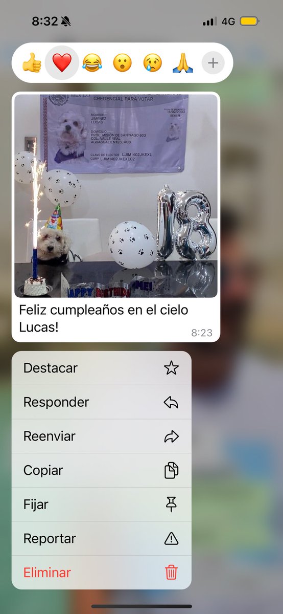 Feliz cumple hasta el cielo Luquitas, te extraño siempre🤍🥺