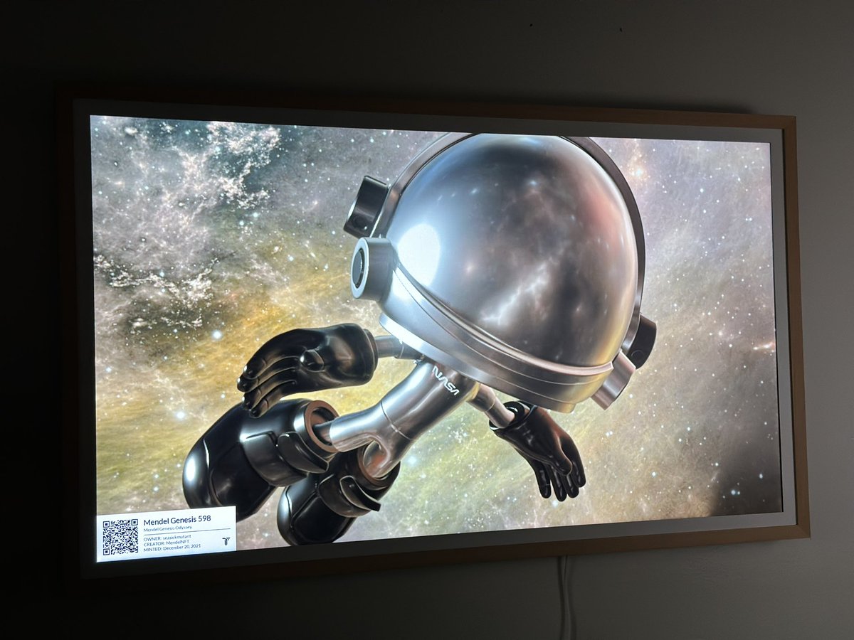 This was some of the best art in the space IMO- project had so much promise <a href="/Remybondstudio/">Remy Bond</a> #mendel