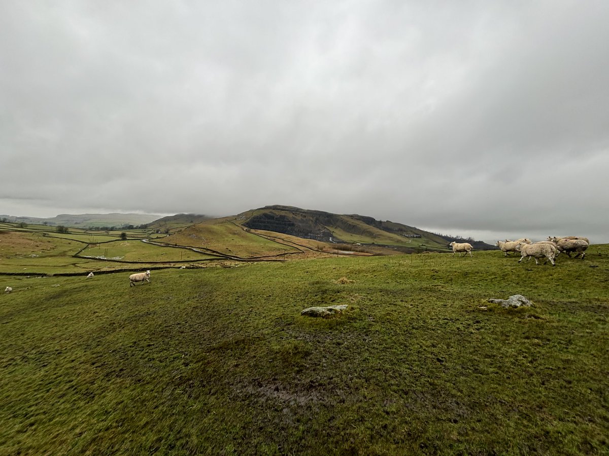 Agronomysilvers's tweet image. Braving the weather up in them yonder hills today on a stunning Valentine’s Day treating myself to some soil sampling @AgriiUK @Lancrop #wegoagain #soilsampling #measuresoyoucanmanage #bloodywetday