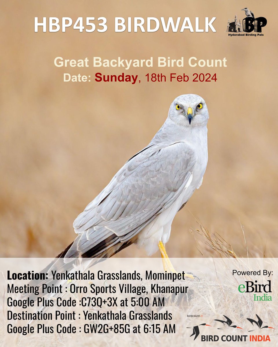 #HBP453 at #Yenkathala on 18Feb2024 as part of #GBBC 2024
#telanganabirdinghotspots
#HBPBirdwalk
#birding
#birdinghobby
#hyderabadbirdingpals
#birdwalks
#birdphotography
#birdphotographers
#birdwatchers
#birdwatchinghobby
#birdwatching
<a href="/birdcountindia/">Bird Count India</a>